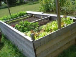 Difficult wheelchair access - raised garden bed