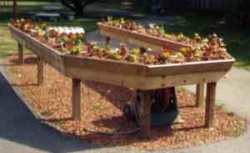 A raised flower bed with excellent knee room and a narrow bed - access from only one side is needed