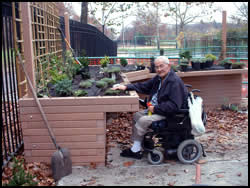Raised garden bed with knee space that allows the gardener to work facing the garden bed.
