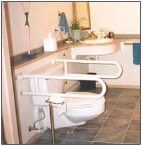 fold down grab bars around a toilet